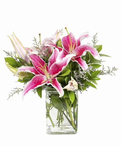 Stargazer Lilies